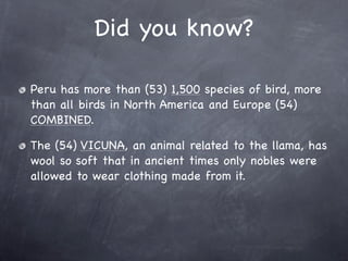 Did you know?

Peru has more than (53) 1,500 species of bird, more
than all birds in North America and Europe (54)
COMBINED.

The (54) VICUNA, an animal related to the llama, has
wool so soft that in ancient times only nobles were
allowed to wear clothing made from it.
 
