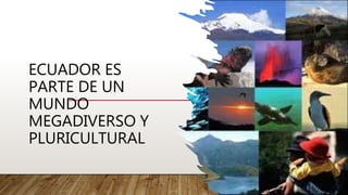 ECUADOR ES
PARTE DE UN
MUNDO
MEGADIVERSO Y
PLURICULTURAL
 