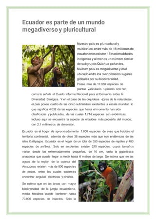 Ecuador es parte de un mundo
megadiversoy pluricultural
Nuestro país es pluricultural y
multiétnico, entre más de 16 millones de
ecuatorianos existen 15 nacionalidades
indígenas y al menos un número similar
de subgrupos Quichua parlantes.
Nuestro país es megadiverso y está
ubicado entre los diez primeros lugares
globales por su biodiversidad.
Posee más de 17.058 especies de
plantas vasculares o plantas con flor,
como lo señala el Cuarto Informe Nacional para el Convenio sobre la
Diversidad Biológica. Y en el caso de las orquídeas -joyas de la naturaleza-,
el país posee cuatro de las cinco subfamilias existentes a escala mundial, lo
que significa 4.032 de las especies que hasta el momento han sido
clasificadas y publicadas, de las cuales 1.714 especies son endémicas;
incluso aquí se encuentra la especie de orquídea más pequeña del mundo,
con 2,1 milímetros de dimensión.
Ecuador es el hogar de aproximadamente 1.600 especies de aves que habitan el
territorio continental, además de otras 38 especies más que son endémicas de las
islas Galápagos. Ecuador es el hogar de un total de 350 especies de reptiles y 400
especies de anfibios. Solo en serpientes existen 210 especies, cuyos tamaños
varían desde las extremadamente pequeñas, de 16 cm, hasta la gigantesca
anaconda que puede llegar a medir hasta 6 metros de largo. Se estima que en las
aguas de la región de la cuenca del
Amazonas existen más de 800 especies
de peces, entre las cuales podemos
encontrar anguilas eléctricas y pirañas.
Se estima que en las áreas con mayor
biodiversidad de la jungla ecuatoriana,
media hectárea puede contener hasta
70.000 especies de insectos. Solo la
 
