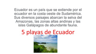 Ecuador es un país que se extiende por el
ecuador en la costa oeste de Sudamérica.
Sus diversos paisajes abarcan la selva del
Amazonas, las zonas altas andinas y las
islas Galápagos de abundante fauna.
5 playas de Ecuador
 