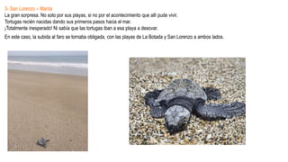 3- San Lorenzo – Manta
La gran sorpresa. No solo por sus playas, si no por el acontecimiento que allí pude vivir.
Tortugas...