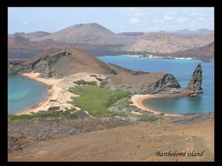 Bartholomé island 