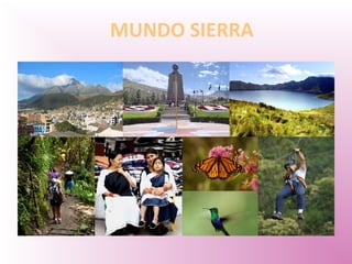 MUNDO SIERRA
 