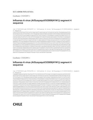 ECUADOR INFLUENZA<br />GenBank: CY052097.1<br />Influenza A virus (A/Guayaquil/5/2009(H1N1)) segment 4 sequence<br />>gi|270655646|gb|CY052097.1| Influenza A virus (A/Guayaquil/5/2009(H1N1)) segment 4 sequence<br />CACATTATGTATAGGTTATCATGCGAACAATTCAACAGACACTGTAGACACAGTACTAGAAAAGAATGTA<br />ACAGTAACACACTCTGTTAACCTTCTAGAAGACAAGCATAACGGGAAACTATGCAAACTAAGAGGGGTAG<br />CCCCATTGCATTTGGGTAAATGTAACATTGCTGGCTGGATCCTGGGAAATCCAGAGTGTGAATCACTCTC<br />CACAGCAAGCTCATGGTCCTACATTGTGGAAACATCTAGTTCAGACAATGGAACGTGTTACCCAGGAGAT<br />TTCATCGATTATGAGGAGCTAAGAGAGCAATTGAGCTCAGTGTCATCATTTGAAAGGTTTGAGATATTCC<br />CCAAGACAAGTTCATGGCCCAATCATGACTCGAACAAAGGTGTAACGGCAGCATGTCCTCATGCTGGAGC<br />AAAAAGCTTCTACAAAAATTTAATATGGCTAGTTAAAAAAGGGAATTCATACCCAAAGCTCAGCAAATCC<br />TACATTAATGATAAAGGGAAAGAAGTCCTCGTGCTATGGGGCATTCACCATCCATCTACTAGTGCTGACC<br />AACAAAGTCTCTATCAGAATGCAGATGCATATGTTTTTGTGGGGACATCAAGATACAGCAAGAAGTTCAA<br />GCCGGAAATAGCAATAAGACCCAAAGTGAGGGATCAAGAAGGGAGAATGAACTATTACTGGACACTAGTA<br />GAGCCGGGAGACAAAATAACATTCGAAGCAACTGGAAATCTAGTGGTACCGAGATATGCATTCGCAATGG<br />AAAGAAATGCTGGATCTGGTATTATCATTTCAGATACACCAGTCCACGATTGCAATACAACTTGTCAGAC<br />ACCCAAGGGTGCTATAAACACCAGCCTCCCATTTCAGAATATACATCCGATCACAATTGGAAAATGTCCA<br />AAATATGTAAAAAGCACAAAATTGAGACTGGCCACAGGATTGAGGAA<br />GenBank: CY052095.1<br />Influenza A virus (A/Guayaquil/3/2009(H1N1)) segment 4 sequence<br />>gi|270655626|gb|CY052095.1| Influenza A virus (A/Guayaquil/3/2009(H1N1)) segment 4 sequence<br />CAAAAATGAAGGCAATACTAGTAGTTCTGCTATATACATTTGCAACCGCAAATGCAGACACATTATGTAT<br />AGGTTATCATGCGAACAATTCAACAGACACTGTAGACACAGTACTAGAAAAGAATGTAACAGTAACACAC<br />TCTGTTAACCTTCTAGAAGACAAGCATAACGGGAAACTATGCAAACTAAGAGGGGTAGCCCCATTGCATT<br />TGGGTAAATGTAACATTGCTGGCTGGATCCTGGGAAATCCAGAGTGTGAATCACTCTCCACAGCAAGCTC<br />ATGGTCCTACATTGTGGAAACATCTAGTTCAGACAATGGAACGTGTTACCCAGGAGATTTCATCGATTAT<br />GAGGAGCTAAGAGAGCAATTGAGCTCAGTGTCATCATTTGAAAGGTTTGAGATATTCCCCAAGACAAGTT<br />CATGGCCCAATCATGACTCGAACAAAGGCGTAACGGCAGCATGTCCTCATGCTGGAGCAAAAAGCTTCTA<br />CAAAAATTTAATATGGCTAGTTAAAAAAGGAAATTCATACCCAAAGCTCAGCAAATCCTACATTAATGAT<br />AAAGGGAAAGAAGTCCTCGTGCTATGGGGCATTCACCATCCATCTACTAGTGCTGACCAACAAAGTCTCT<br />ATCAGAATGCAGATGCATATGTTTTTGTGGGGTCATCAAGATACAGCAAGAAGTTCAAGCCGGAAATAGC<br />AATAAGACCCAAAGTGAGGGATCAAGAAGGGAGAATGAACTATTACTGGACACTAGTAGAGCCGGGAGAC<br />AAAATAACATTCGAAGCAACTGGAAATCTAGTGGTACCGAGATATGCATTCGCAATGGAAAGAAATGCTG<br />GATCTGGTATTATCATTTCAGATACACCAGTCCACGATTGCAATACAACTTGTCAGACACCCAAGGGTGC<br />TATAAACACCAGCCTCCCATTTCAGAATATACATCCGATCACAATTGGAAAATGTCCAAAATATGTAAAA<br />AGCACAAAATTGAGACTGGCCACAGGATTGAGGAATGTCCCGTCTATCAA<br />CHILE<br />GenBank: GQ866225.1<br />Influenza A virus (A/turkey/Chile/28317-6504-3/2009(H1N1)) segment 4 hemagglutinin (HA) gene, partial cds<br />>gi|257223439|gb|GQ866225.1| Influenza A virus (A/turkey/Chile/28317-6504-3/2009(H1N1)) segment 4 hemagglutinin (HA) gene, partial cds<br />ATGAAGGCAATACTAGTAGTTCTGCTATATACATTTGCAACCGCAAATGCAGACACATTATGTATAGGTT<br />ATCATGCGAACAATTCAACAGACACTGTAGACACAGTACTAGAAAAGAATGTAACAGTAACACACTCTGT<br />TAACCTTCTAGAAGACAAGCATAACGGGAAACTATGCAAACTAAGAGGGGTAGCCCCATTGCATTTGGGT<br />AAATGTAACATTGCTGGCTGGATCCTGGGAAATCCAGAGTGTGAATCACTCTCCACAGCAAGCTCATGGT<br />CCTACATTGTGGAAACATCTAGTTCAGACAATGGAACGTGTTACCCAGGAGATTTCATCGATTATGAGGA<br />GCTAAGAGAGCAATTGAGCTCAGTGTCATCATTTGAAAGGTTTGAGATATTCCCCAAGACAAGTTCATGG<br />CCCAATCATGACTCGAACAAAGGTGTAACGGCAGCATGTCCTCATGCTGGAGCAAAAAGCTTCTACAAAA<br />ATTTAATATGGCTAGTTAAAAAAGGAAATTCATACCCAAAGCTCAGCAAATCCTACATTAATGATAAAGG<br />GAAAGAAGTCCTCGTGCTATGGGGCATTCACCATCCATCTACTAGTGCTGACCAACAAAGTCTCTATCAG<br />AATGCAGATGCATATGTTTTTGTGGGGACATCAAGATACAGCAAGAAGTTCAAGCCGGAAATAGCAATAA<br />GACCCAAAGTGAGGGATCAAGAAGGGAGAATGAACTATTACTGGACACTAGTAGAGCCGGGAGACAAAAT<br />AACATTCGAAGCAACTGGAAATCTAGTGGTACCGAGATATGCATTCGCAATGGAAAGAAATGCTGGATCT<br />GGTATTATCATTTCAGATACACCAGTCCACGATTGCAATACAACTTGTCAGACACCCAAGGGTGCTATAA<br />ACACCAGCCTCCCATTTCAGAATATACATCCGATCACAATTGGAAAATGTCCAAAATATGTAAAAAGCAC<br />AAAATTGAGACTGGCCACAGGATTGAGGAATGTCCCGTCTATTCAATCTAGAGGCCTATTTGGGGCCATT<br />GCCGGTTTCATTGAAGGGGGGTGGACAGGGATGGTAGATGGATGGTACGGTTATCACCATCAAAATGAGC<br />AGGGGTCAGGATATGCAGCCGACCTGAAGAGCACACAGAATGCCATTGACGAGATTACTAACAAAGTAAA<br />TTCTGTTATTGAAAAGATGAATACACAGTTCACAGCAGTAGGTAAAGAGTTCAACCACCTGGAAAAAAGA<br />ATAGAGAATTTAAATAAAAAAGTTGATGATGGTTTCCTGGACATTTGGACTTACAATGCCGAACTGTTGG<br />TTCTATTGGAAAATGAAAGAACTTTGGACTACCACGATTCAAATGTGAAGAACTTATATGAAAAGGTAAG<br />AAGCCAGTTAAAAAACAATGCCAAGGAAATTGGAAACGGCTGCTTTGAATTTTACCACAAATGCGATAAC<br />ACGTGCATGGAAAGTGTCAAAAATGGGACTTG<br />GenBank: GQ359771.1<br />Influenza A virus (A/Puerto Montt/Bio87/2009(H1N1)) segment 4 hemagglutinin (HA) gene, complete cds<br />>gi|251833493|gb|GQ359771.1| Influenza A virus (A/Puerto Montt/Bio87/2009(H1N1)) segment 4 hemagglutinin (HA) gene, complete cds<br />AAAATGAAGGCAATACTAGTAGTTCTGCTATATACATTTGCAACCGCAAATGCAGACACATTATGTATAG<br />GTTATCATGCGAACAATTCAACAGACACTGTAGACACAGTACTAGAAAAGAATGTAACAGTAACACACTC<br />TGTTAACCTTCTAGAAGACAAGCATAACGGGAAACTATGCAAACTAAGAGGGGTAGCCCCATTGCATTTG<br />GGTAAATGTAACATTGCTGGCTGGATCCTGGGAAATCCAGAGTGTGAATCACTCTCCACAGCAAGCTCAT<br />GGTCCTACATTGTGGAAACATCTAGTTCAGACAATGGAACGTGTTACCCAGGAGATTTCATCGATTATGA<br />GGAGCTAAGAGAGCAATTGAGCTCAGTGTCATCATTTGAAAGGTTTGAGATATTCCCCAAGACAAGTTCA<br />TGGCCCAATCATGACTCGAACAAAGGTGTAACGGCAGCATGTCCTCATGCTGGAGCAAAAAGCTTCTACA<br />AAAATTTAATATGGCTAGTTAAAAAAGGAAATTCATACCCAAAGCTCAGAAAATCCTACATTAATGATAA<br />AGGGAAAGAAGTCCTCGTGCTATGGGGCATTCACCATCCATCTACTAGTGCTGACCAACAAAGTCTCTAT<br />CAGAATGCAGATGCATATGTTTTTGTGGGGACATCAAGATACAGCAAGAAGTTCAAGCCGGAAATAGCAA<br />TAAGACCCAAAGTGAGGGATCAAGAAGGGAGAATGAACTATTACTGGACACTAGTAGAGCCGGGAGACAA<br />AATAACATTCGAAGCAACTGGAAATCTAGTGGTACCGAGATATGCATTCGCAATGGAAAGAAATGCTGGA<br />TCTGGTATTATCATTTCAGATACACCAGTCCACGATTGCAATACAACTTGTCAGACACCCAAGGGTGCTA<br />TAAACACCAGCCTCCCATTTCAGAATATACATCCGATCACAATTGGAAAATGTCCAAAATATGTAAAAAG<br />CACAAAATTGAGACTGGCCACAGGATTGAGGAATGTCCCGTCTATTCAATCTAGAGGCCTATTTGGGGCC<br />ATTGCCGGTTTCATTGAAGGGGGGTGGACAGGGATGGTAGATGGATGGTACGGTTATCACCATCAAAATG<br />AGCAGGGGTCAGGATATGCAGCTGACCTGAAGAGCACACAGAATGCCATTGACGAGATTACTAACAAAGT<br />AAATTCTGTTATTGAAAAGATGAATACACAGTTCACAGCAGTAGGTAAAGAGTTCAACCACCTGGAAAAA<br />AGAATAGAGAATTTAAATAAAAAAGTTGATGATGGTTTCCTGGACATTTGGACTTACAATGCCGAACTGT<br />TGGTTCTATTGGAAAATGAAAGAACTTTGGACTACCACGATTCAAATGTGAAGAACTTATATGAAAAGGT<br />AAGAAGCCAGTTAAAAAACAATGCCAAGGAAATTGGAAACGGCTGCTTTGAATTTTACCACAAATGCGAT<br />AACACGTGCATGGAAAGTGTCAAAAATGGGACTTATGACTACCCAAAATACTCAGAGGAAGCAAAATTAA<br />ACAGAGAAGAAATAGATGGGGTAAAGCTGGAATCAACAAGGATTTACCAGATTTTGGCGATCTATTCAAC<br />TGTCGCCAGTTCATTGGTACTGGTAGTCTCCCTGGGGGCAATCAGTTTCTGGATGTGCTCTAATGGGTCT<br />CTACAGTGTAGAATATGTATTTAACAT<br />GenBank: GQ286175.1<br />Influenza A virus (A/Castro/JXP/2009(H1N1)) segment 4 hemagglutinin (HA) gene, complete cds<br />>gi|240282380|gb|GQ286175.1| Influenza A virus (A/Castro/JXP/2009(H1N1)) segment 4 hemagglutinin (HA) gene, complete cds<br />TTTGTAAAACGAACGGCCAGTATACGACTAGCAAAAGCAGGGGAAAACAAAAGCAACAAAAATGAAGGCA<br />ATACTAGTAGTTCTGCTATATACATTTGCAACCGCAAATGCAGACACATTATGTATAGGTTATCATGCGA<br />ACAATTCAACAGACACTGTAGACACAGTACTAGAAAAGAATGTAACAGTAACACACTCTGTTAACCTTCT<br />AGAAGACAAGCATAACGGGAAACTATGCAAACTAAGAGGGGTAGCCCCATTGCATTTGGGTAAATGTAAC<br />ATTGCTGGCTGGATCCTGGGAAATCCAGAGTGTGAATCACTCTCCACAGCAAGCTCATGGTCCTACATTG<br />TGGAAACATCTAGTTCAGACAATGGAACGTGTTACCCAGGAGATTTCATCGATTATGAGGAGCTAAGAGA<br />GCAATTGAGCTCAGTGTCATCATTTGAAAGGTTTGAGATATTCCCCAAGACAAGTTCATGGCCCAATCAT<br />GACTCGAACAAAGGTGTAACGGCAGCATGTCCTCATGCTGGAGCAAAAAGCTTCTACAAAAATTTAATAT<br />GGCTAGTTAAAAAAGGAAATTCATACCCAAAGCTCAGCAAATCCTACATTAATGATAAAGGGAAAGAAGT<br />CCTCGTGCTATGGGGCATTCACCATCCATCTACTAGTGCTGACCAACAAAGTCTCTATCAGAATGCAGAT<br />GCATATGTTTTTGTGGGGACATCAAGATACAGCAAGAAGTTCAAGCCGGAAATAGCAATAAGACCCAAAG<br />TGAGGGATCAAGAAGGGAGAATGAACTATTACTGGACACTAGTAGAGCCGGGAGACAAAATAACATTCGA<br />AGCAACTGGAAATCTAGTGGTACCGAGATATGCATTCGCAATGGAAAGAAATGCTGGATCTGGTATTATC<br />ATTTCAGATACACCAGTCCACGATTGCAACACAACTTGTCAGACACCCAAGGGTGCTATAAACACCAGCC<br />TCCCATTTCAGAATATACATCCGATCACAATTGGAAAATGTCCAAAATATGTAAAAAGCACAAAATTGAG<br />ACTGGCCACAGGATTGAGGAATGTCCCGTCTATTCAATCTAGAGGCCTATTTGGGGCCATTGCCGGTTTC<br />ATTGAAGGGGGGTGGACAGGGATGGTAGATGGATGGTACGGTTATCACCATCAAAATGAGCAGGGGTCAG<br />GATATGCAGCCGACCTGAAGAGCACACAGAATGCCATTGACGAGATTACTAACAAAGTAAATTCTGTTAT<br />TGAAAAGATGAATACACAGTTCACAGCAGTAGGTAAAGAGTTCAACCACCTGGAAAAAAGAATAGAGAAT<br />TTAAATAAAAAAGTTGATGATGGTTTCCTGGACATTTGGACTTACAATGCCGAACTGTTGGTTCTATTGG<br />AAAATGAAAGAACTTTGGACTACCACGATTCAAATGTGAAGAACTTATATGAAAAGGTAAGAAGCCAGTT<br />AAAAAACAATGCCAAGGAAATTGGAAACGGCTGCTTTGAATTTTACCACAAATGCGATAACACGTGCATG<br />GAAAGTGTCAAAAATGGGACTTATTACTACCCAAAATACTCAGAGGAAGCAAAATTAAACAGAGAAGAAA<br />TAGATGGGGTAAAGCTGGAATCAACAAGGATTTACCAGATTTTGGCGATCTATTCAACTGTCGCCAGTTC<br />ATTGGTACTGGTAGTCTCCCTGGGGGCAATCAGTTTCTGGATGTGCTCTAATGGGTCTCTACAGTGTAGA<br />ATATGTATTTAACATAGAATCACAAACCGGAGAAGTTCTTAATTC<br />COLOMBIA<br />GenBank: CY049836.1<br />Influenza A virus (A/Bogota/WR0090N/2009(H1N1)) segment 4 sequence<br />>gi|265691496|gb|CY049836.1| Influenza A virus (A/Bogota/WR0090N/2009(H1N1)) segment 4 sequence<br />ATGAAGGCAATACTAGTAGTTCTGCTATATACATTTGCAACCGCAAATGCAGACACATTATGTATAGGTT<br />ATCATGCGAACAATTCAACAGACACTGTAGACACAGTACTAGAAAAGAATGTAACAGTAACACACTCTGT<br />TAACCTTCTAGAAGACAAGCATAACGGGAAACTATGCAAACTAAGAGGGGTAGCCCCATTGCATTTGGGT<br />AAATGTAACATTGCTGGCTGGATCCTGGGAAATCCAGAGTGTGAATCACTCTCCACAGCAAGCTCATGGT<br />CCTACATTGTGGAAACATCTAGTTCAGACAATGGAACGTGTTACCCAGGAGATTTCATCGATTATGAGGA<br />GCTAAGAGAGCAATTGAGCTCAGTGTCATCATTTGAAAGATTTGAGATATTCCCCAAGACAAGTTCATGG<br />CCCAATCATGACTCGAACAAAGGTGTAACGGCAGCATGTCCTCATGCTGGAGCAAAAAGCTTCTACAAAA<br />ATTTAATATGGCTAGTTAAAAAAGGAAATTCATACCCAAAGCTCAGCAAATCCTACATTAATGATAAAGG<br />GAAAGAAGTCCTCGTGCTATGGGGCATTCACCATCCATCTACTAGTGCTGACCAACAAAGTCTCTATCAG<br />AATGCAGATGCATATGTTTTTGTGGGGACATCAAGATACAGTAAGAAGTTCAAGCCGGAAATAGCAATAA<br />GACCCAAAGTGAGGGATCAAGAAGGGAGAATGAACTATTACTGGACACTAGTAGAGCCGGGAGACAAAAT<br />AACATTCGAAGCAACTGGAAATCTAGTGGTACCGAGATATGCATTCGCAATGGAAAGAAATGCTGGATCT<br />GGTATTATCATTTCAGATACACCAGTCCACAATTGCAATACAACTTGTCAGACACCCAAGGGTGCTATAA<br />ACACCAGCCTCCCATTTCAGAATATACATCCGATCACAATTGGAAAATGTCCAAAATATGTAAAAAGCAC<br />AAAATTGAGACTGGCCACAGGATTGAGGAATGTCCCGTCTATTCAATCTAGAGGCCTATTTGGGGCCATT<br />GCCGGTTTCATTGAAGGGGGGTGGACAGGGATGGTAGATGGATGGTACGGTTATCACCATCAAAATGAGC<br />AGGGGTCAGGATATGCAGCCGATCTGAAGAGCACACAGAATGCCATTGACGAGATTACTAACAAAGTAAA<br />TTCTGTTATTGAAAAGATGAATACACAGTTCACAGCAGTAGGTAAAGAGTTCAACCACCTGGAAAAAAGA<br />ATAGAGAATTTAAATAAAAAAGTTGATGATGGTTTCCTGGACATTTGGACTTACAATGCCGAACTGTTGG<br />TTCTATTGGAAAATGAAAGAACTTTGGACTACCACGATTCAAATGTGAAGAACTTATATGAAAAGGTAAG<br />AAGCCAGTTAAAAAACAATGCCAAGGAAATTGGAAACGGCTGCTTTGAATTTTACCACAAATGCGATAAC<br />ACGTGCATGGAAAGTGTCAAAAATGGGACTTATGACTACCCAAAATACTCAGAGGAAGCAAAATTAAACA<br />GAGAAGAAATAGATGGGGTAAAGCTGGAATCAACAAGGATTTACCAGATTTTGGCGATCTATTCAACTGT<br />CGCCAGTTCATTGGTACTGGTAGTCTCCCTGGGGGCAATCAGTTTCTGGATGTGCTCTGGTCATCTACAG<br />TGTAGAATATGTATTTAA<br />GenBank: CY044147.1<br />Influenza A virus (A/Bogota/0466N/2009(H1N1)) segment 4 sequence<br />>gi|255689501|gb|CY044147.1| Influenza A virus (A/Bogota/0466N/2009(H1N1)) segment 4 sequence<br />ATGAAGGCAATACTAGTAGTTCTGCTATATACATTTGCAACCGCAAATGCAGACACATTATGTATAGGTT<br />ATCATGCGAACAATTCAACAGACACTGTAGACACAGTACTAGAAAAGAATGTAACAGTAACACACTCTGT<br />TAACCTTCTAGAAGACAAGCATAACGGGAAACTATGCAAACTAAGAGGGGTAGCCCCATTGCATTTGGGT<br />AAATGTAACATTGCTGGCTGGATCCTGGGAAATCCAGAGTGTGAATCACTCTCCACAGCAAGCTCATGGT<br />CCTACATTGTGGAAACATCTAGTTCAGACAATGGAACGTGTTACCCAGGAGATTTCATCGATTATGAGGA<br />GCTAAGAGAGCAATTGAGCTCAGTGTCATCATTTGAAAGATTTGAGATATTCCCCAAGACAAGTTCATGG<br />CCCAATCATGACTCGAACAAAGGTGTAACGGCAGCATGTCCTCATGCTGGAGCAAAAAGCTTCTACAAAA<br />ATTTAATATGGCTAGTTAAAAAAGGAAATTCATACCCAAAGCTCAGCAAATCCTACATTAATGATAAAGG<br />GAAAGAAGTCCTCGTGCTATGGGGCATTCACCATCCATCTACTAGTGCTGACCAACAAAGTCTCTATCAG<br />AATGCAGATGCATATGTTTTTGTGGGGACATCAAGATACAGTAAGAAGTTCAAGCCGGAAATAGCAATAA<br />GACCCAAAGTGAGGGATCAAGAAGGGAGAATGAACTATTACTGGACACTAGTAGAGCCGGGAGACAAAAT<br />AACATTCGAAGCAACTGGAAATCTAGTGGTACCGAGATATGCATTCGCAATGGAAAGAAATGCTGGATCT<br />GGTATTATCATTTCAGATACACCAGTCCACAATTGCAATACAACTTGTCAGACACCCAAGGGTGCTATAA<br />ACACCAGCCTCCCATTTCAGAATATACATCCGATCACAATTGGAAAATGTCCAAAATATGTAAAAAGCAC<br />AAAATTGAGACTGGCCACAGGATTGAGGAATGTCCCGTCTATTCAATCTAGAGGCCTATTTGGGGCCATT<br />GCCGGTTTCATTGAAGGGGGGTGGACAGGGATGGTAGATGGATGGTACGGTTATCACCATCAAAATGAGC<br />AGGGGTCAGGATATGCAGCCGATCTGAAGAGCACACAGAATGCCATTGACGAGATTACTAACAAAGTAAA<br />TTCTGTTATTGAAAAGATGAATACACAGTTCACAGCAGTAGGTAAAGAGTTCAACCACCTGGAAAAAAGA<br />ATAGAGAATTTAAATAAAAAAGTTGATGATGGTTTCCTGGACATTTGGACTTACAATGCCGAACTGTTGG<br />TTCTATTGGAAAATGAAAGAACTTTGGACTACCACGATTCAAATGTGAAGAACTTATATGAAAAGGTAAG<br />AAGCCAGTTAAAAAACAATGCCAAGGAAATTGGAAACGGCTGCTTTGAATTTTACCACAAATGCGATAAC<br />ACGTGCATGGAAAGTGTCAAAAATGGGACTTATGACTACCCAAAATACTCAGAGGAAGCAAAATTAAACA<br />GAGAAGAAATAGATGGGGTAAAGCTGGAATCAACAAGGATTTACCAGATTTTGGCGATCTATTCAACTGT<br />CGCCAGTTCATTGGTACTGGTAGTCTCCCTGGGGGCAATCAGTTTCTGGATGTGCTCTAATGGGTCTCTA<br />CAGTGTAGAATATGTATTTAA<br />GenBank: GQ200276.1<br />Influenza A virus (A/Bogota/224/2009(H1N1)) segment 4 hemagglutinin (HA) gene, partial cds<br />>gi|238018155|gb|GQ200276.1| Influenza A virus (A/Bogota/224/2009(H1N1)) segment 4 hemagglutinin (HA) gene, partial cds<br />GTTTTTGTGGGGTCATCAAGATACAGCAAGAAGTTCAAGCCGGAAATAGCAATAAGACCCAAAGTGAGGG<br />ATCAAGAAGGGAGAATGAACTATTACTGGACACTAGTAGAGCCGGGAGACAAAATAACATTCGAAGCAAC<br />TGGAAATCTAGTGGTACCGAGATATGCATTCGCAATGGAAAGAAATGCTGGATCTGGTATTATCATTTCA<br />GATACACCAGTCCACGATTGCAATACAACTTGTCAGACACCCAAGGGTGCTATAAACACCAGCCTCCCAT<br />TTCAGAATATACATCCGATCACAATTGGA<br />GenBank: GQ200275.1<br />Influenza A virus (A/Bogota/176/2009(H1N1)) segment 4 hemagglutinin (HA) gene, partial cds<br />>gi|238018153|gb|GQ200275.1| Influenza A virus (A/Bogota/176/2009(H1N1)) segment 4 hemagglutinin (HA) gene, partial cds<br />GTTTTTGTGGGGTCATCAAGATACAGCAAGAAGTTCAAGCCGGAAATAGCAATAAGACCCAAAGTGAGGG<br />ATCAAGAAGGGAGAATGAACTATTACTGGACACTAGTAGAGCCGGGAGACAAAATAACATTCGAAGCAAC<br />TGGAAATCTAGTGGTACCGAGATATGCATTCGCAATGGAAAGAAATGCTGGATCTGGTATTATCATTTCA<br />GATACACCAGTCCACGATTGCAATACAACTTGTCAGACACCCAAGGGTGCTATAAACACCAGCCTCCCAT<br />TTCAGAATATACATCCGATCACAATTGGA<br />USA<br />GenBank: CY061283.1<br />Influenza A virus (A/Pensacola/INS108/2009(H1N1)) segment 4, complete sequence<br />>gi|294613850|gb|CY061283.1| Influenza A virus (A/Pensacola/INS108/2009(H1N1)) segment 4, complete sequence<br />AAAAGCAACAAAAATGAAGGCAATACTAGTAGTTCTGCTATATACATTTGCAACCGCAAATGCAGACACA<br />TTATGTATAGGTTATCATGCGAACAATTCAACAGACACTGTAGACACAGTACTAGAAAAGAATGTAACAG<br />TAACACACTCTGTTAACCTTCTAGAAGACAAGCATAACGGGAAACTATGCAAACTAAGAGGGGTAGCCCC<br />ATTGCATTTGGGTAAATGTAACATTGCTGGCTGGATCCTGGGAAATCCAGAGTGTGAATCACTCTCCACA<br />GCAAGCTCATGGTCCTACATTGTGGAAACATCTAGTTCAGACAATGGAACGTGTTACCCAGGAGATTTCA<br />TCAATTATGAGGAGCTAAGAGAGCAATTGAGCTCAGTGTCATCATTTGAAAGGTTTGAGATATTCCCCAA<br />GACAAGTTCATGGCCCAATCATGACTCGAACAAAGGTGTAACGGCAGCATGTCCTCATGCTGGAGCAAAA<br />AGCTTCTACAAAAATTTAATATGGCTAGTTAAAAAAGGAAATTCATACCCAAAGCTCAGCAAATCCTACA<br />TTAATGATAAAGGGAAAGAAGTCCTCGTGCTATGGGGCATTCACCATCCATCTACTAGTGCTGACCAACA<br />AAGTCTCTATCAGAATGCAGATGCATATGTTTTTGTGGGGACATCAAGATACAGCAAGAAGTTCAAGCCG<br />GAAATAGCAATAAGACCCAAAGTGAGGGATCAAGAAGGGAGAATGAACTATTACTGGACACTAGTAGAGC<br />CGGGAGACAAAATAACATTCGAAGCAACTGGAAATCTAGTGGTACCGAGATATGCATTCGCAATGGAAAG<br />AAATGCTGGATCTGGTATTATCATCTCAGATACACCAGTCCACGATTGCAATACAACTTGTCAGACACCC<br />AAGGGTGCTATAAACACCAGCCTCCCATTTCAGAATATACATCCGATCACAATTGGAAAATGTCCAAAAT<br />ATGTAAAAAGCACAAAATTGAGACTGGCCACAGGATTGAGGAATGTCCCGTCTATTCAATCTAGAGGCCT<br />ATTTGGGGCCATTGCCGGTTTCATTGAAGGGGGGTGGACAGGGATGGTAGATGGATGGTACGGTTATCAC<br />CATCAAAATGAGCAGGGGTCAGGATATGCAGCCGACCTGAAGAGCACACAGAATGCCATTGACAAGATTA<br />CTAACAAAGTAAATTCTGTTATTGAAAAGATGAATACACAGTTCACAGCAGTAGGTAAAGAGTTCAACCA<br />CCTAGAAAAAAGAATAGAGAATTTAAATAAAAAAGTTGATGATGGTTTCCTGGACATTTGGACTTACAAT<br />GCCGAACTGTTGGTTCTATTGGAAAATGAAAGAACTTTGGACTACCACGATTCAAATGTGAAGAACTTAT<br />ATGAAAAGGTAAGAAGCCAGTTAAAAAACAATGCCAAGGAAATTGGAAACGGCTGCTTTGAATTTTACCA<br />CAAATGCGATAACACGTGCATGGAAAGTGTCAAAAATGGGACTTATGACTACCCAAAATACTCAGAGGAA<br />GCAAAATTAAACAGAGAAGAAATAGATGGGGTAAAGCTGGAATCAACAAGGATTTACCAGATTTTGGCGA<br />TCTATTCAACTGTCGCCAGTTCATTGGTACTGGTAGTCTCCCTGGGGGCAATCAGTTTCTGGATGTGCTC<br />TAATGGGTCTCTACAGTGTAGAATATGTATTTAACATTAGGATTTCAGAAGCAT<br />GenBank: CY061275.1<br />Influenza A virus (A/Pensacola/INS107/2009(H1N1)) segment 4, complete sequence<br />>gi|294612673|gb|CY061275.1| Influenza A virus (A/Pensacola/INS107/2009(H1N1)) segment 4, complete sequence<br />AAAAGCAACAAAAATGAAGGCAATACTAGTAGTTCTGCTATATACATTTGCAACCGCAAATGCAGACACA<br />TTATGTATAGGTTATCATGCGAACAATTCAACAGACACTGTAGACACAGTACTAGAAAAGAATGTAACAG<br />TAACACACTCTGTTAACATTCTAGAAGACAAGCATAACGGGAAACTATGCAAACTAAGAGGGGTAGCCCC<br />ATTGCATTTGGGTAAATGTAACATTGCTGGCTGGATCCTGGGAAATCCAGAGTGTGAATCACTCTCCACA<br />GCAAGCTCATGGTCCTACATTGTGGAAACATCTAGTTCAGACAATGGAACGTGTTACCCAGGAGATTTCA<br />TCGATTATGAGGAGCTAAGAGAGCAATTGAGCTCAGTGTCATCATTTGAAAGGTTTGAGATATTCCCCAA<br />GACAAGTTCATGGCCCAATCATGACTCGAACAAAGGTGTAACGGCAGCATGTCCTCATGCTGGAGCAAAA<br />AGCTTCTACAAAAATTTAATATGGCTAGTTAAAAAAGGAAATTCATACCCAAAGCTCAGCAAATCCTACA<br />TTAATGATAAAGGGAAAGAAGTCCTCGTGCTATGGGGCATTCACCATCCATCTACTAGTGCTGACCAACA<br />AAGTCTCTATCAGAATGCAGATGCATATGTTTTTGTGGGGTCATCAAGATACAGCAAGAAGTTCAAGCCG<br />GAAATAGCAATAAGACCCAAAGTGAGGGATCAAGAAGGGAGAATGAACTATTACTGGACACTAGTAGAGC<br />CGGGAGACAAAATAACATTCGAAGCAACTGGAAATCTAGTGGTACCGAGATATGCATTCGCAATGGAAAG<br />AAATGCTGGATCTGGTATTATCATTTCAGATACACCAGTCCACGATTGCAATACAACTTGTCAGACACCC<br />AAGGGTGCTATAAACACCAGCCTCCCATTTCAGAATATACATCCGATCACAATTGGAAAATGTCCAAAAT<br />ATGTAAAAAGCACAAAATTGAGACTGGCCACAGGATTGAGGAATGTCCCGTCTATTCAATCTAGAGGCCT<br />ATTTGGGGCCATTGCCGGCTTCATTGAAGGGGGGTGGACAGGGATGGTAGATGGATGGTACGGTTATCAT<br />CATCAAAATGAGCAGGGGTCAGGATATGCAGCCGACCTGAAGAGCACACAGAATGCCATTGACGAGATTA<br />CTAACAAAGTAAATTCTGTTATTGAAAAGATGAATACACAGTTCACAGCAGTAGGTAAAGAGTTCAACCA<br />CCTGGAAAAAAGAATAGAGAATTTAAATAAAAAAGTTGATGATGGTTTCCTGGACATTTGGACTTACAAT<br />GCCGAACTGTTGGTTCTATTGGAAAATGAAAGAACTTTGGACTACCACGATTCAAATGTGAAGAACTTAT<br />ATGAAAAGGTAAGAAGCCAGCTAAAAAACAATGCCAAGGAAATTGGAAACGGCTGCTTTGAATTTTACCA<br />CAAATGCGATAACACGTGCATGGAAAGTGTCAAAAATGGGACTTATGACTACCCAAAATACTCAGAGGAA<br />GCAAAATTAAACAGAGAAGAAATAGATGGGGTAAAGCTGGAATCAACAAGGATTTACCAGATTTTGGCGA<br />TCTATTCAACTGTCGCCAGTTCATTGGTACTGGTAGTCTCCCTGGGGGCAATCAGTTTCTGGATGTGCTC<br />TAATGGGTCTCTACAGTGTAGAATATGTATTTAACATTAGGATTTCAGAAGCAT<br />GenBank: CY061267.1<br />Influenza A virus (A/Brussels/INS106/2009(H1N1)) segment 4, complete sequence<br />>gi|294612654|gb|CY061267.1| Influenza A virus (A/Brussels/INS106/2009(H1N1)) segment 4, complete sequence<br />AAAAGCAACAAAAATGAAGGCAATACTAGTAGTTCTGCTATATACATTTGCAACCGCAAATGCAGACACA<br />TTATGTATAGGTTATCATGCGAACAATTCAACAGACACTGTAGACACAGTACTAGAAAAGAATGTAACAG<br />TAACACACTCTGTTAACCTTCTAGAAGACAAGCATAACGGGAAACTATGCAAACTAAGAGGGGTAGCCCC<br />ATTGCATTTGGGTAAATGTAACATTGCTGGCTGGATCCTGGGAAATCCAGAGTGTGAATCACTCTCCACA<br />GCAAGCTCATGGTCCTACATTGTGGAAACATCTAGTTCAGACAATGGAACGTGTTACCCAGGAGATTTCA<br />TCGATTATGAGGAGCTAAGAGAGCAATTGAGCTCAGTGTCATCATTTGAAAGGTTTGAGATATTCCCCAA<br />GACAAGTTCATGGCCCAATCATGACTCGAACAAAGGTGTAACGGCAGCATGTCCTCATGCTGGAGCAAAA<br />AGCTTCTACAAAAATTTAATATGGCTAGTTAAAAAAGGAAATTCATACCCAAAGCTCAGCAAATCCTACA<br />TTAATGATAAAGGGAAAGAAGTCCTAGTGCTATGGGGCATTCACCATCCATCTACTAGTGCTGACCAACA<br />AAGTCTCTATCAGAATGCAGATGCATATGTTTTTGTGGGGACATCAAGATACAGCAAGAAGTTCAAGCCG<br />GAAATAGCAATAAGACCCAAAGTGAGGGATCAAGAAGGGAGAATGAACTATTACTGGACACTAGTAGAGC<br />CGGGAGACAAAATAACATTCGAAGCAACTGGAAATCTAGTGGTACCGAGATATGCATTCGCAATGGAAAG<br />AAATGCTGGATCTGGTATTATCATTTCAGATACACCAGTCCACGATTGCAATACAACTTGTCAGACACCC<br />AAGGGTGCTATAAACACCAGCCTCCCATTTCAGAATATACATCCGATCACAATTGGAAAATGTCCAAAAT<br />ATGTAAAAAGCACAAAATTGAGACTGGCCACAGGATTGAGGAATATCCCGTCTATTCAATCTAGAGGCCT<br />ATTTGGGGCCATTGCCGGTTTCATTGAAGGGGGGTGGACAGGGATGGTAGATGGATGGTACGGTTATCAC<br />CATCAAAATGAGCAGGGGTCAGGATATGCAGCCGACCTGAAGAGCACACAGAATGCCATTGACGAGATTA<br />CTAACAAAGTAAATTCTGTTATTGAAAAGATGAATACACAGTTCACAGCAGTAGGTAAAGAGTTCAACCA<br />CCTGGAAAAAAGAATAGAGAATTTAAATAAAAAGGTTGATGATGGTTTCCTGGACATTTGGACTTACAAT<br />GCCGAACTGTTGGTTCTATTGGAAAATGAAAGAACTTTGGACTACCACGATTCAAATGTGAAGAACTTAT<br />ATGAAAAGGTAAGAAGCCAGTTAAAAAACAATGCCAAGGAAATTGGAAACGGCTGCTTTGAATTTTACCA<br />CAAATGCGATAACACGTGCATGGAAAGTGTCAAAAATGGGACTTATGACTACCCAAAATACTCAGAGGAA<br />GCAAAATTAAACAGAGAAGAAATAGATGGGGTAAAGCTGGAATCAACAAGGATTTACCAGATTTTGGCGA<br />TCTATTCAACTGTCGCCAGTTCATTGGTACTGGTAGTCTCCCTGGGGGCAATCAGTTTCTGGATGTGCTC<br />TAATGGGTCTCTACAGTGTAGAATATGTATTTAACATTAGGATTTCAGAAGCAT<br />GenBank: CY061259.1<br />Influenza A virus (A/San Diego/INS105/2009(H1N1)) segment 4, complete sequence<br />>gi|294612636|gb|CY061259.1| Influenza A virus (A/San Diego/INS105/2009(H1N1)) segment 4, complete sequence<br />AAAAGCAACAAAAATGAAGGCAATACTAGTAGTTCTGCTATATACATTTGCAACCGCAAATGCAGACACA<br />TTATGTATAGGTTATCATGCGAACAATTCAACAGACACTGTAGACACAGTACTAGAAAAGAATGTAACAG<br />TAACACACTCTGTTGACCTTCTAGAAGACAAGCATAACGGGAAACTATGCAAACTAAGAGGGGTAGCCCC<br />ATTGCATTTGGGTAAATGTAACATTGCTGGCTGGATCCTGGGAAATCCAGAGTGTGAATCACTCTCCACA<br />GCAAGCTCATGGTCCTACATTGTGGAAACATCTAGTTCAGACAATGGAACGTGTTACCCAGGAGATTTCA<br />TCGATTATGAGGAACTAAGAGAGCAATTGAGCTCAGTGTCATCATTTGAAAGGTTTGAGATATTCCCCAA<br />GACAAGTTCATGGCCCAATCATGACTCGAACAAAGGTGTAACGGCAGCATGTCCTCATGCTGGAGCAAAA<br />AGCTTCTACAAAAATTTAATATGGCTGGTTAAAAAAGGAAATTCATACCCAAAGCTCAGCAAATCCTACA<br />TTAATGATAAAGGGAAAGAAGTCCTCGTGCTATGGGGCATTCACCATCCATCTACTAGTGCTGACCAACA<br />AAGTCTCTATCAGAATGCAGATGCATATGTTTTTGTGGGGTCATCAAGATACAGCAAGAAGTTCAAGCCG<br />GAAATAGCAATAAGACCCAAAGTGAGGGATCAAGAAGGGAGAATGAACTATTACTGGACACTAGTAGAGC<br />CGGGAGACAAAATAACATTCGAAGCAACTGGAAATCTAGTGGTACCGAGATATGCATTCGCAATGGAAAG<br />AAATGCTGGATCTGGTATTATCATTTCGGATACACCAGTCCACGATTGCAATACAACTTGTCAGACACCC<br />AAGGGTGCTATAAACACCAGCCTCCCATTTCAGAATATACATCCGATCACAATTGGAAAATGTCCAAAAT<br />ATGTAAAAAGCACAAAATTGAGACTGGCCACAGGATTGAGGAATGTCCCGTCTATTCAATCTAGAGGCCT<br />ATTTGGGGCCATTGCCGGTTTCATTGAAGGGGGGTGGACAGGGATGGTAGATGGATGGTACGGTTATCAC<br />CATCAAAATGAGCAGGGGTCAGGATATGCAGCCGACCTGAAGAGCACACAGAATGCCATTGACGAGATTA<br />CTAACAAAGTAAATTCTGTTATTGAAAAGATGAATACACAGTTCACAGCAGTAGGTAAAGAGTTCAACCA<br />CCTGGAAAAAAGAATAGAGAATTTAAATAAAAAAGTTGATGATGGTTTCCTGGACATTTGGACTTACAAT<br />GCCGAACTGTTGGTTCTATTGGAAAATGAAAGAACTTTGGACTACCACGATTCAAATGTGAAGAACTTAT<br />ATGAAAAGGTAAGAAGCCAGTTAAAAAACAATGCCAAGGAAATTGGAAACGGCTGCTTTGAATTTTACCA<br />CAAATGCGATAACACGTGCATGGAAAGTGTCAAAAATGGGACTTATGACTACCCAAAATACTCAGAGGAA<br />GCAAAATTAAACAGAGAAGAAATAGATGGGGTAAAGCTGGAATCAACAAGGATTTACCAGATTTTGGCGA<br />TCTATTCAACTGTCGCCAGTTCATTGGTACTGGTAGTCTCCCTGGGGGCAATCAGTTTCTGGATGTGCTC<br />TAATGGGTCTCTACAGTGTAGAATATGTATTTAACATTAGGATTTCAGAAGCAT<br />
