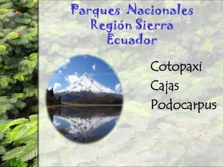 Parques Nacionales Región SierraEcuadorCotopaxiCajasPodocarpus