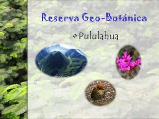 Reserva Geo-BotánicaPululahua