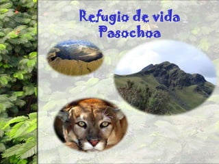 Refugio de vida Pasochoa