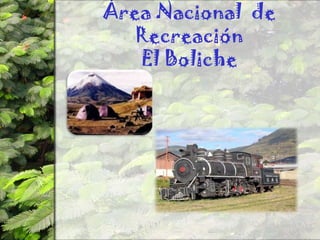 Área Nacional de RecreaciónEl Boliche