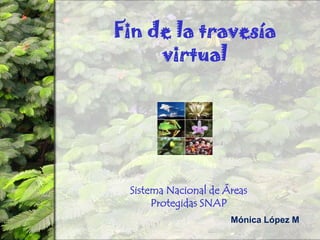 Fin de la travesía virtualSistema Nacional de Áreas Protegidas SNAPMónica López M