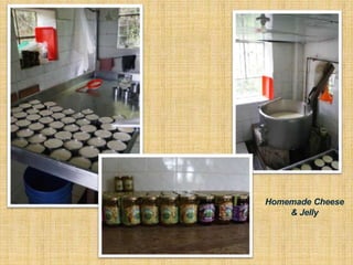 Homemade Cheese
& Jelly
 