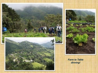 Farm to Table
dinning!
 