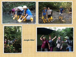 Jungle Hike!
 