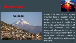 Attractions
Cotopaxi is one of the highest
mountain tops in Ecuador, with a
height of 5,987m. The peak
covered with snow if visible from
the capital Quito. Cotopaxi is one of
the few volcanoes that has
equatorial glaciers in the world.
Cotopaxi has erupted more than 50
times since 1938, which makes it
one of the most active volcanoes in
the world. 13
Cotopaxi
 