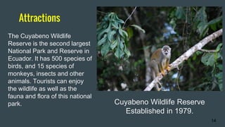 Attractions
14
Cuyabeno Wildlife Reserve
Established in 1979.
The Cuyabeno Wildlife
Reserve is the second largest
National Park and Reserve in
Ecuador. It has 500 species of
birds, and 15 species of
monkeys, insects and other
animals. Tourists can enjoy
the wildlife as well as the
fauna and flora of this national
park.
 