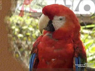 Ecuador, pais de contrastes