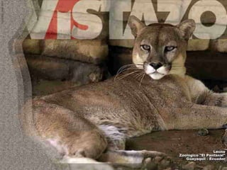 Ecuador, pais de contrastes