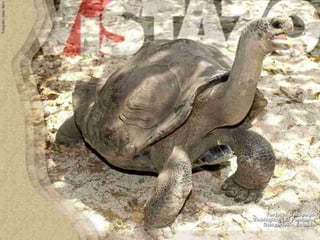 Ecuador, pais de contrastes