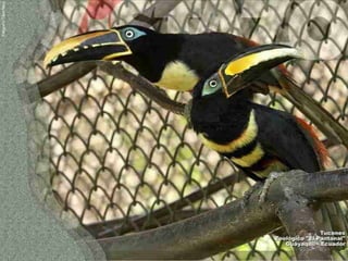 Ecuador, pais de contrastes