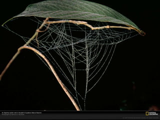 Ecuador, pais de contrastes