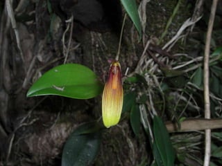 Ecuador, pais de contrastes
