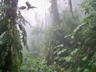 Ecuador, pais de contrastes