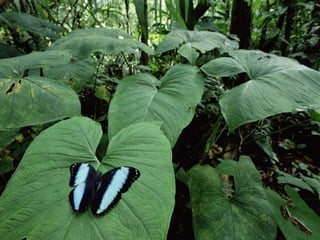 Ecuador, pais de contrastes