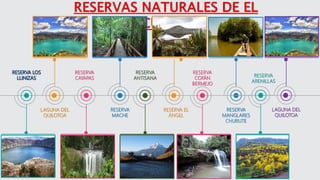 LAGUNA DEL
QUILOTOA
RESERVA
CAYAPAS
RESERVA
MACHE
RESERVA
ANTISANA
RESERVA EL
ÁNGEL
RESERVA
COFÁN
BERMEJO
RESERVA
MANGLARES
CHURUTE
RESERVA
ARENILLAS
LAGUNA DEL
QUILOTOA
 