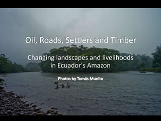 Oil, Roads, Settlers and Timber
Changing landscapes and livelihoods
in Ecuador's Amazon
 