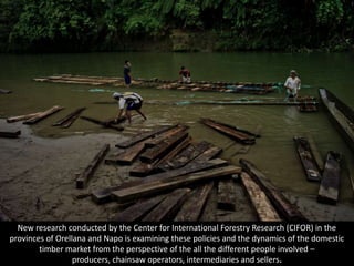 New research conducted by the Center for International Forestry Research (CIFOR) in the
provinces of Orellana and Napo is examining these policies and the dynamics of the domestic
timber market from the perspective of the all the different people involved –
producers, chainsaw operators, intermediaries and sellers.
 