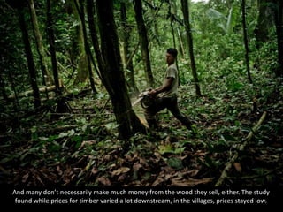 And many don’t necessarily make much money from the wood they sell, either. The study
found while prices for timber varied a lot downstream, in the villages, prices stayed low.
 