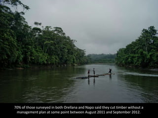 70% of those surveyed in both Orellana and Napo said they cut timber without a
management plan at some point between August 2011 and September 2012.
 