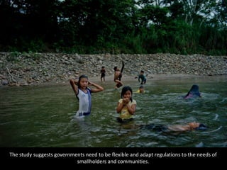 The study suggests governments need to be flexible and adapt regulations to the needs of
smallholders and communities.
 