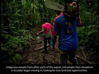 Indigenous people from other parts of the region, and people from elsewhere
in Ecuador began moving in, looking for new land and opportunities.
 