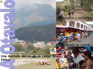 A Otavalo Una monta ña detrás de un campo de fútbol Los caballos y las ovejas El mercado de comida Una familia en el mercado