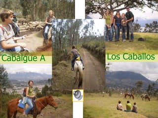 Cabalgue A Los Caballos