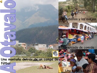 A Otavalo Una monta ña detrás de un campo de fútbol Los caballos y las ovejas El mercado de comida Una familia en el mercado 