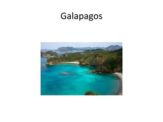 Galapagos 