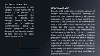 POTENCIAL AGRÍCOLA
Ecuador es considerado un país
agrícola y pierde fuerza con la
minería y el petróleo. La
producción representó 524
millones de dólares, sin
embargo, absorbe la mayor
cantidad de la población
económicamente activa, la
variedad geográfica de que
dispone el país permite producir
de todo pero que nos están
siendo aprovechados
MODELO AGRARIO
Ecuador está regida bajo 5 modelos agrarios, el
modelo tradicional o oligárquico, articulado en
torno a la gran propiedad agraria y el comercio
exportador, el modelo de la agro-industria qué
responde a las dinámicas de la modernización
para la articulación con el mercado mundial y se
enlaza con las nuevas formas de renta
tecnológica bajo la forma de agro combustibles, el
modelo agro-negocio, la agricultura por contrato
previo entre el capital y la pequeña y mediana
producción dirigido al mercado interno disciplina
miento de la medida y la pequeña producción y
enlazado al capital mundial por el lado de la
importación ,el modelo vía-campesina, articulada
al mercado y que apunta reformas de la propiedad
la producción y el comercio para garantizar la
soberanía alimentaria.
 