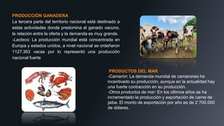 PRODUCCIÓN GANADERA
La tercera parte del territorio nacional está destinado a
estas actividades donde predomina el ganado vacuno,
la relación entre la oferta y la demanda es muy grande.
-Lacteos: La producción mundial está concentrada en
Europa y estados unidos, a nivel nacional se ordeñaron
1127.363 vacas por lo representó una producción
nacional fuerte
PRODUCTOS DEL MAR
-Camarón: La demanda mundial de camarones ha
incentivado su producción, aunque en la actualidad hay
una fuerte contracción en su producción.
-Otros productos de mar: En los últimos años se ha
incrementado la producción y exportación de carne de
jaiba. El monto de exportación por año es de 2`700.000
de dólares.
 