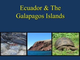 Ecuador & The
Galapagos Islands
 