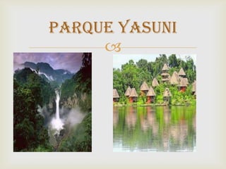 
PARQUE YASUNI
 