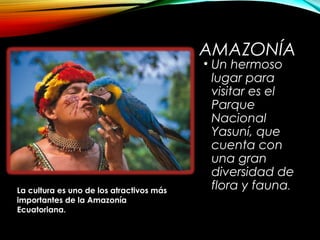 AMAZONÍA
• Un hermoso
lugar para
visitar es el
Parque
Nacional
Yasuní, que
cuenta con
una gran
diversidad de
flora y fauna.La cultura es uno de los atractivos más
importantes de la Amazonía
Ecuatoriana.
 