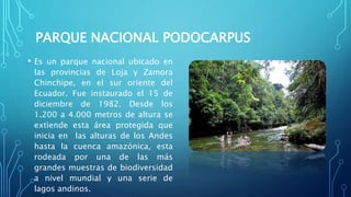 PARQUE NACIONAL PODOCARPUS
• Es un parque nacional ubicado en
las provincias de Loja y Zamora
Chinchipe, en el sur oriente del
Ecuador. Fue instaurado el 15 de
diciembre de 1982. Desde los
1.200 a 4.000 metros de altura se
extiende esta área protegida que
inicia en las alturas de los Andes
hasta la cuenca amazónica, esta
rodeada por una de las más
grandes muestras de biodiversidad
a nivel mundial y una serie de
lagos andinos.
 