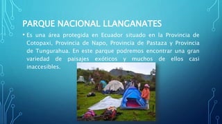 PARQUE NACIONAL LLANGANATES
• Es una área protegida en Ecuador situado en la Provincia de
Cotopaxi, Provincia de Napo, Provincia de Pastaza y Provincia
de Tungurahua. En este parque podremos encontrar una gran
variedad de paisajes exóticos y muchos de ellos casi
inaccesibles.
 