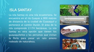 ISLA SANTAY
La isla Santay es una isla ecuatoriana. Se
encuentra en el río Guayas a 800 metros
de distancia de la ciudad de Guayaquil y
pertenece al cantón Durán. El área de la
isla comprende 2.174 hectáreas. La isla
Santay es otra opción que tienen los
guayaquileños y las personas que visitan
la Perla para pasar un rato ameno
rodeado de naturaleza.
 