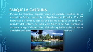 PARQUE LA CAROLINA
• Parque La Carolina. Espacio verde de carácter público de la
ciudad de Quito, capital de la República del Ecuador. Con 67
hectáreas de terreno, este es uno de los parques urbanos más
grandes del Distrito, del país y de América del Sur. Durante la
semana, acoge a deportistas habituales quienes disfrutan de la
atmósfera tranquila que ofrece el lugar por las mañanas.
 