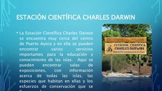 ESTACIÓN CIENTÍFICA CHARLES DARWIN
• La Estación Científica Charles Darwin
se encuentra muy cerca del centro
de Puerto Ayora y en ella se pueden
encontrar varios servicios
importantes para la educación y
conocimiento de las islas. Aquí se
pueden encontrar salas de
exposiciones, con información
acerca de todas las islas, las
especies que habitan en ellas y los
esfuerzos de conservación que se
 