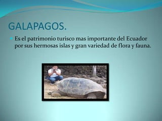 GALAPAGOS.
 Es el patrimonio turisco mas importante del Ecuador
 por sus hermosas islas y gran variedad de flora y fauna.
 