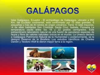  Islas Galápagos, Ecuador - El archipiélago de Galápagos, ubicado a 950
Km. del Ecuador continental, está conformado por 13 islas grandes, 6
pequeñas y más de 40 islotes de origen volcánico. Tiene 14 islas mayores,
-4 de ellas habitadas San Cristóbal, Santa Cruz, Isabela, Floreana La
temperatura oscila entre los 18 y 22 grados centígrados. Este
extraordinario laboratorio natural es una fusión de peculiares especies de
fauna y flora de valores naturales únicos en el mundo. La Unesco declaró
a Galápagos Patrimonio Natural de la Humanidad y posteriormente, se la
designó Reserva de la Biosfera. Los estudios científicos de Charles
Darwin y Teodoro Wolf le dieron mayor fama a la región.
 