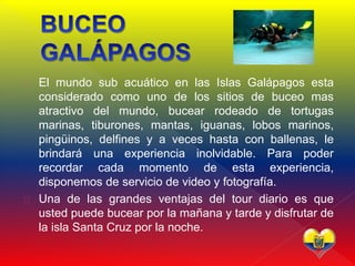  El mundo sub acuático en las Islas Galápagos esta
considerado como uno de los sitios de buceo mas
atractivo del mundo, bucear rodeado de tortugas
marinas, tiburones, mantas, iguanas, lobos marinos,
pingüinos, delfines y a veces hasta con ballenas, le
brindará una experiencia inolvidable. Para poder
recordar cada momento de esta experiencia,
disponemos de servicio de video y fotografía.
 Una de las grandes ventajas del tour diario es que
usted puede bucear por la mañana y tarde y disfrutar de
la isla Santa Cruz por la noche.
 